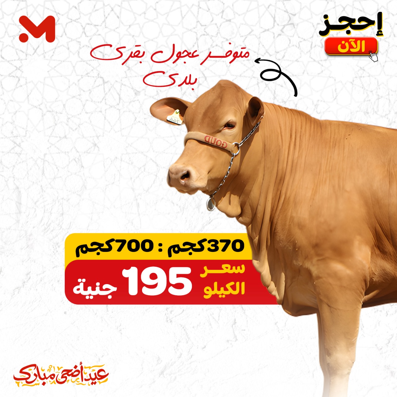 el-mahallawy offers from 15may to 31may 2025 عروض المحلاوي من 15 مايو حتى 31 مايو 2025 صفحة رقم 1